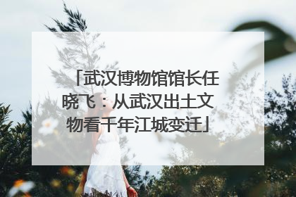 武汉博物馆馆长任晓飞：从武汉出土文物看千年江城变迁