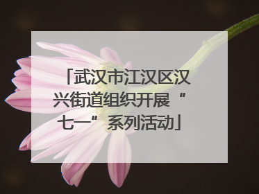 武汉市江汉区汉兴街道组织开展“七一”系列活动