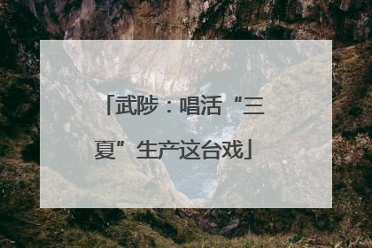 武陟：唱活“三夏”生产这台戏