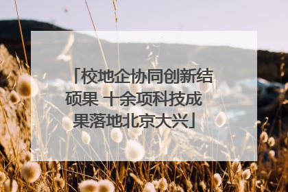 校地企协同创新结硕果 十余项科技成果落地北京大兴