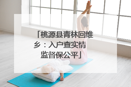 桃源县青林回维乡：入户查实情 监督保公平