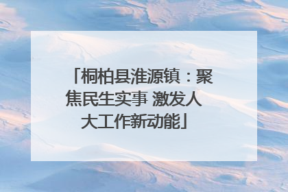 桐柏县淮源镇：聚焦民生实事 激发人大工作新动能