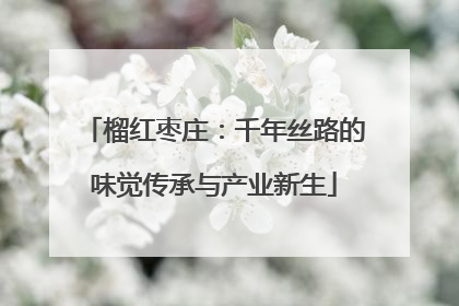 榴红枣庄：千年丝路的味觉传承与产业新生