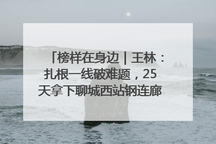 榜样在身边｜王林：扎根一线破难题，25天拿下聊城西站钢连廊“硬核”工程