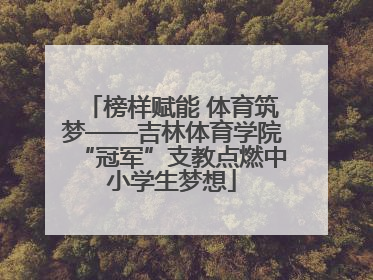 榜样赋能 体育筑梦——吉林体育学院“冠军”支教点燃中小学生梦想