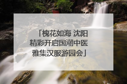 槐花如海 沈阳精彩开启国潮中医雅集汉服游园会