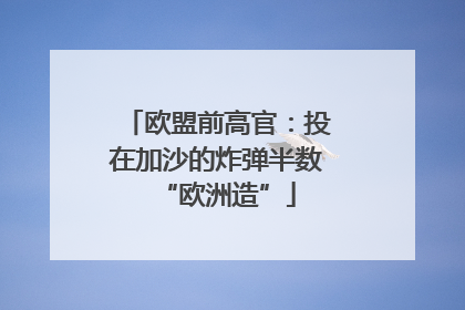 欧盟前高官：投在加沙的炸弹半数“欧洲造”