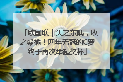 欧国联｜失之东隅，收之桑榆！四年无冠的C罗终于再次举起奖杯