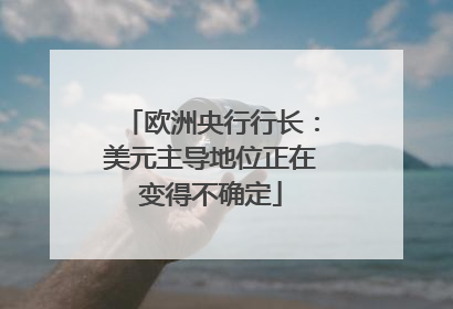 欧洲央行行长：美元主导地位正在变得不确定