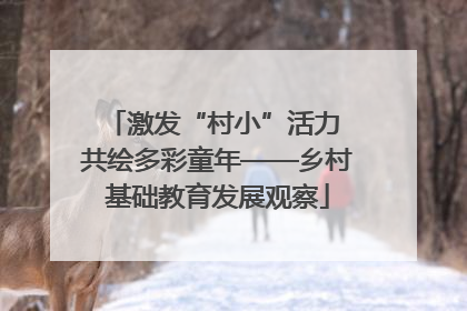 激发“村小”活力 共绘多彩童年——乡村基础教育发展观察