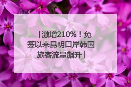 激增210%！免签以来昆明口岸韩国旅客流量飙升