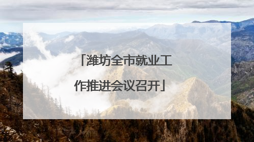 潍坊全市就业工作推进会议召开