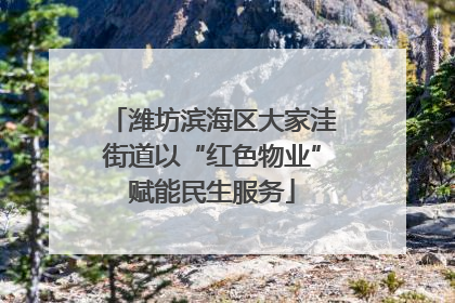 潍坊滨海区大家洼街道以“红色物业”赋能民生服务