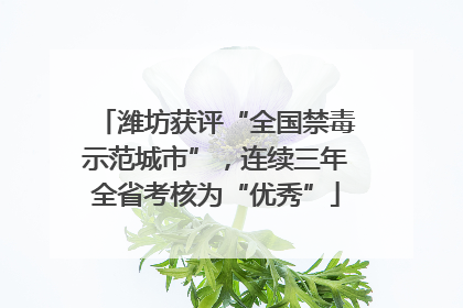潍坊获评“全国禁毒示范城市”，连续三年全省考核为“优秀”