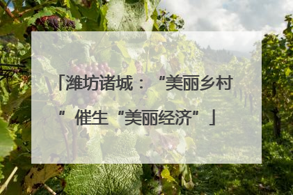 潍坊诸城：“美丽乡村”催生“美丽经济”