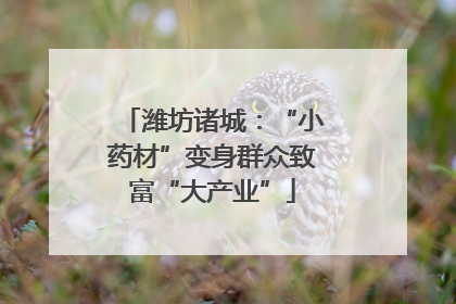 潍坊诸城：“小药材”变身群众致富“大产业”