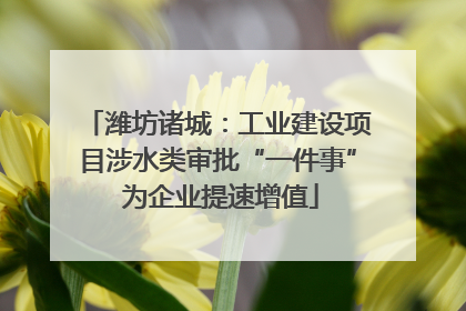 潍坊诸城：工业建设项目涉水类审批“一件事” 为企业提速增值