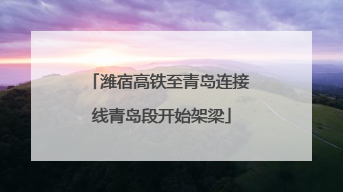 潍宿高铁至青岛连接线青岛段开始架梁