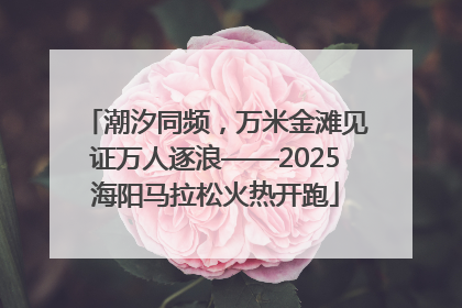 潮汐同频，万米金滩见证万人逐浪——2025海阳马拉松火热开跑