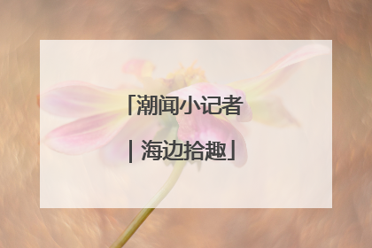 潮闻小记者｜海边拾趣