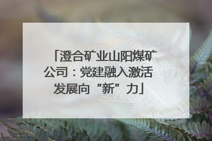 澄合矿业山阳煤矿公司：党建融入激活发展向“新”力