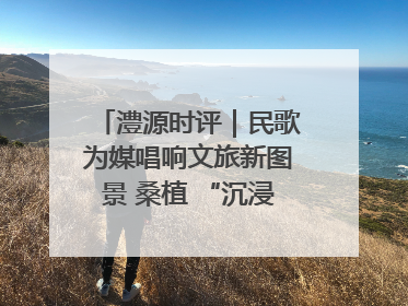 澧源时评｜民歌为媒唱响文旅新图景 桑植 “沉浸式” 文旅融合的破圈启示