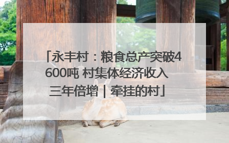 永丰村：粮食总产突破4600吨 村集体经济收入三年倍增｜牵挂的村