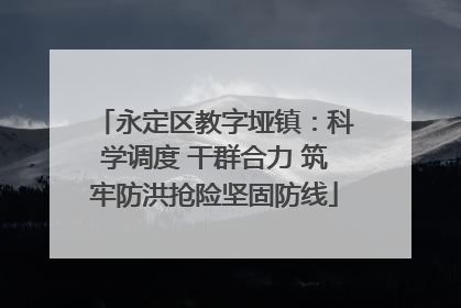 永定区教字垭镇：科学调度 干群合力 筑牢防洪抢险坚固防线