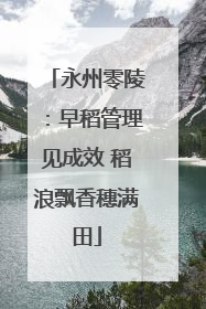永州零陵：早稻管理见成效 稻浪飘香穗满田