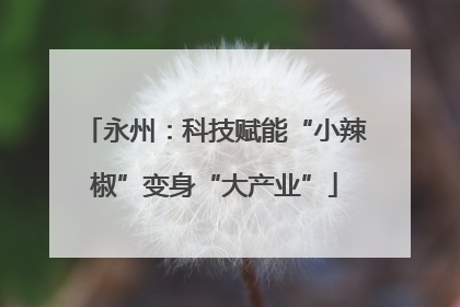 永州：科技赋能“小辣椒”变身“大产业”