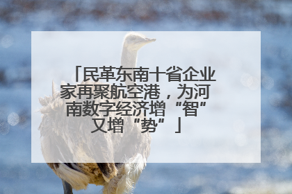民革东南十省企业家再聚航空港，为河南数字经济增“智”又增“势”