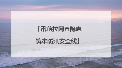 汛前拉网查隐患 筑牢防汛安全线