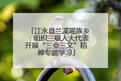 江永县兰溪瑶族乡：组织三级人大代表开展“三会三文”精神专题学习