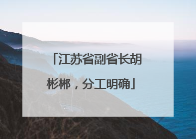 江苏省副省长胡彬郴，分工明确