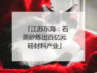 江苏东海：石英砂炼出百亿元硅材料产业