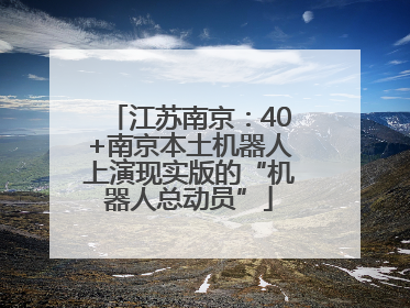 江苏南京：40+南京本土机器人上演现实版的“机器人总动员”
