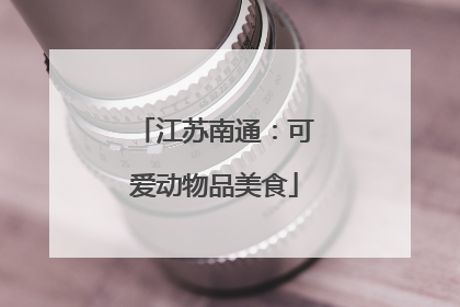 江苏南通：可爱动物品美食