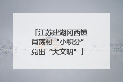 江苏建湖冈西镇肖荡村“小积分”兑出“大文明”