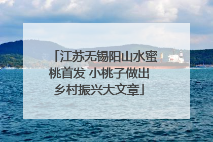 江苏无锡阳山水蜜桃首发 小桃子做出乡村振兴大文章