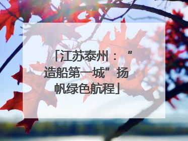 江苏泰州：“造船第一城”扬帆绿色航程