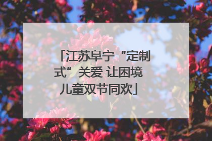 江苏阜宁“定制式”关爱 让困境儿童双节同欢