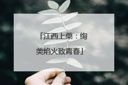 江西上栗：绚美焰火致青春