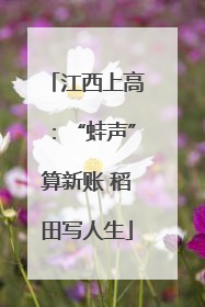 江西上高：“蛙声”算新账 稻田写人生