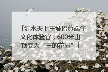 沂水天上王城招募端午文化体验官，600米山顶变为“王的花园”