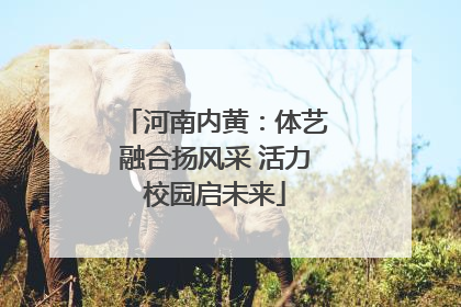 河南内黄：体艺融合扬风采 活力校园启未来