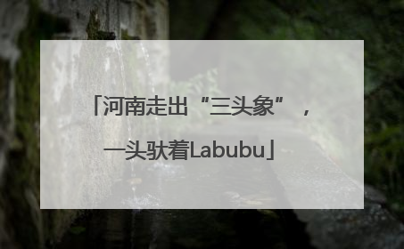 河南走出“三头象”，一头驮着Labubu