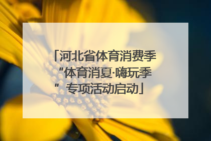 河北省体育消费季“体育消夏·嗨玩季”专项活动启动