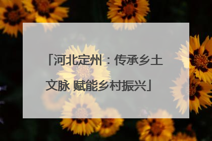 河北定州：传承乡土文脉 赋能乡村振兴
