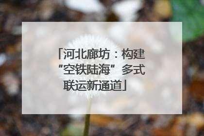 河北廊坊：构建“空铁陆海”多式联运新通道