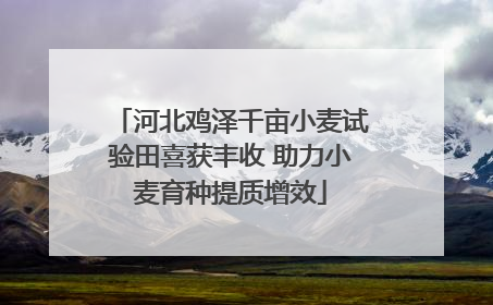 河北鸡泽千亩小麦试验田喜获丰收 助力小麦育种提质增效